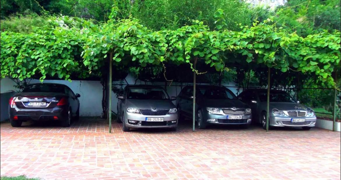Ferienwohnung Carine Garden Risan Exterior foto