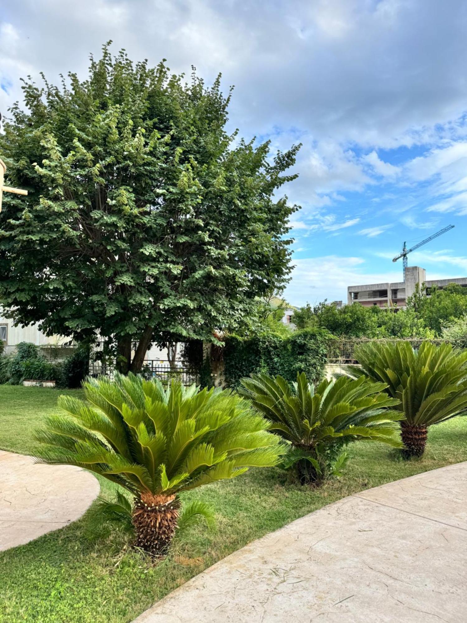 Ferienwohnung Carine Garden Risan Exterior foto